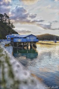 Landscape: Mangonui Fish and Chips