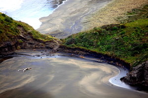 Anawhata Peninsular, Auckland