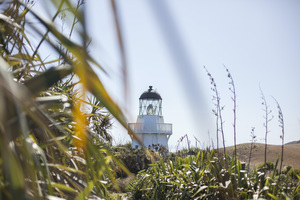 Landscape: Manukau Heads Lighthouse, Auckland