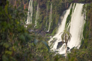 Landscape: Iguazu Falls 1, Argentina