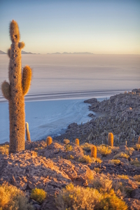 Landscape: Uyuni Salt Flats 8, Bolivia