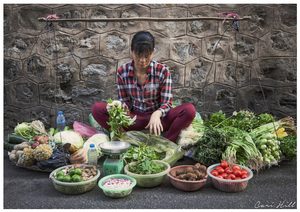 Vietnam Greengrocer, Hanoi, Vietnam