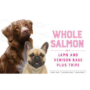 Frontpage: Canine Salmon & Lamb (10kg)