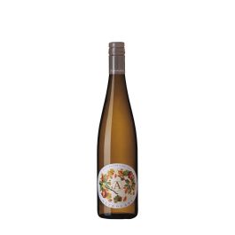 Products: 2024 Astrolabe Marlborough Pinot Gris Caros Wines NZ