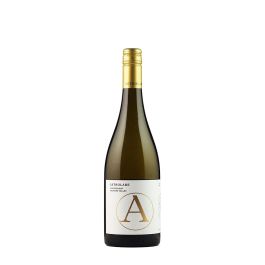 Products: 2024 Astrolabe Marlborough Chardonnay Caros Wines NZ