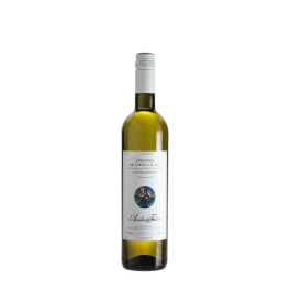 Products: 2023 Felici Verdicchio dei Castelli di Jesi Caros Wines NZ