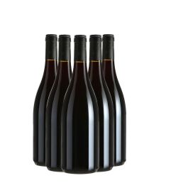 Products: Mixed 6 — Noon Winery 2024 Caros Wines NZ