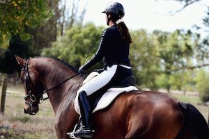 Legs Equestrian: Graphic base layer