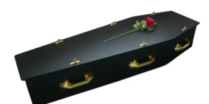 Products: MDF Painted with Satin Lining Coffin Package - Carried Away Coffins New Zealand