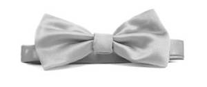 Ties: Silver Italian Satin Pre-tied bow