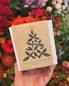 All Gifts: High County Peonies | Red Charming - Christmas Spice Eco Soy Candle