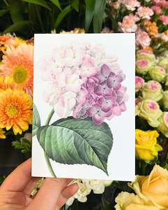 Mothers Day: Greeting Card | Pink Hydrangea