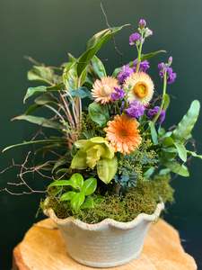 Little Eden | Planter Bowl