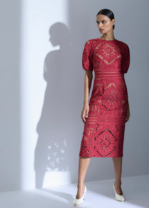 Moss and Spy  Letitia Midi