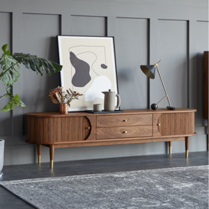 TAIGA Entertainment Unit