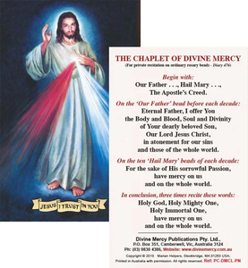 Divine Mercy Laminated Prayer Card Family Life Catholic Gifts