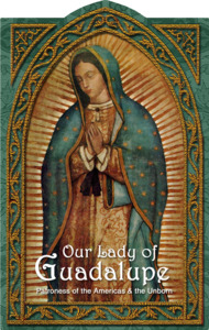 Blessed Mother: Our Lady of Guadalupe Holy Card Family Life Catholic Gifts