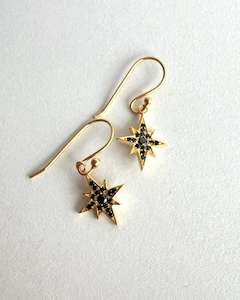 April Diamond: Spinel Star Gold Sample Earrings
