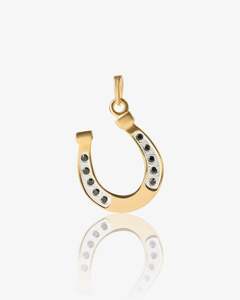 Amulets: Wild & True Horseshoe Amulet