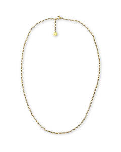 Chains: Slim Rolo Gold Chain