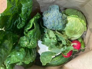 Produce Bag - Catlins Harvest