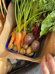 Produce Bag - Catlins Harvest