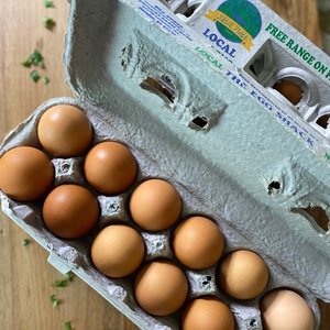 Free Range Owaka Eggs - Catlins Harvest