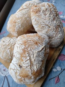 Products: Ciabatta Buns - Catlins Harvest