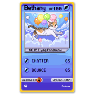 Catnap - Bethany Card