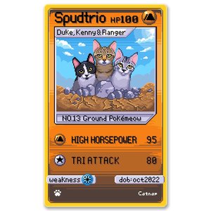 Catnap - Spudtrio Card