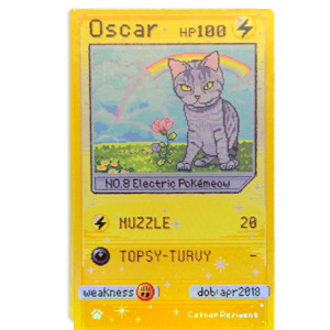 Products: Catnap - Oscar Card