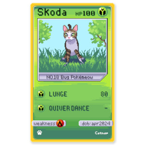 Catnap - Skoda Card