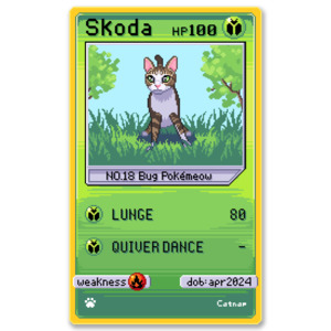 Products: Catnap - Skoda Card