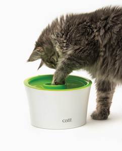 Cat Toys: Catit 2.0 - Multi Feeder