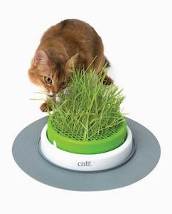 Catit 2.0 - Grass Planter