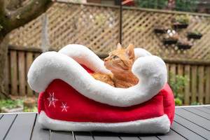 Festive Pet Bed