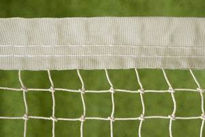 Cat Netting with Reinforced Edging - Stone