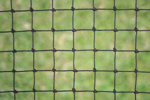 Cat Netting - Black
