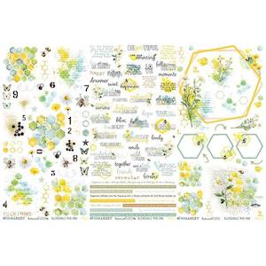 49 and Market - Botanical Buzz - Rub On Transfers