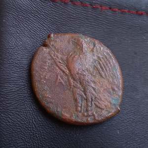 Uk Collection: #N894# Sicilian Greek coin of Hiketas II from Syracuse, 287-278 BC.