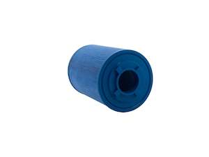 LEISURERITE / WATERWAY C100 - BOTTON LR100B ANTIBACTERIAL FILTER