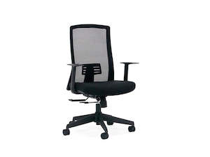 Chairs: Knight Eagle Chair