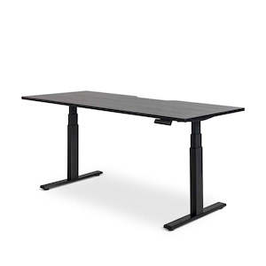 Height Adjustable Desks: Mobel Enhance Dual Motor Standing Desk
