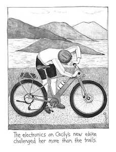 card: E-Bike electronics Card