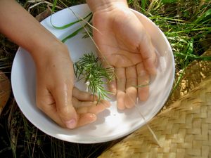 Auckland: Autumn Equinox: The sacred pause to rebalance and restore