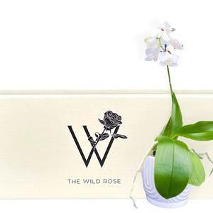 Orchid Plant Gift Box