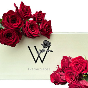 Valentines Day: My True Love