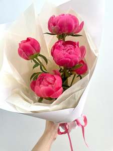 Fresh Flowers Online: Peony - SEASONAL FAVOURTIE