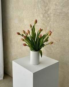 Seasonal Stems: Tulips