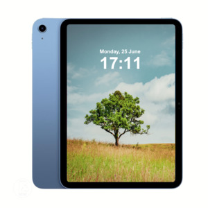 Apple iPad 10 256GB WiFi Only Blue - Excellent (Refurbished)